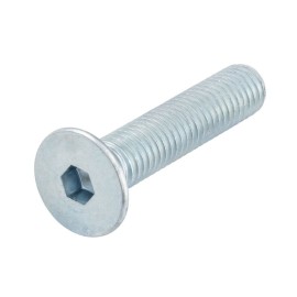 Vite a testa piana svasata con esagono incassato - zincata acciaio 10.9 - Filetto metrico M6 x 30 mm